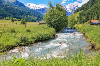 Avusturya 'da bir nehri olan güzel bir dağ manzarası. Doğa manzarası. Tarla, çayır, nehir, dağlar. Çevre koruma, ekoloji sorunları, temiz hava. Doğal arkaplan, dikey güç