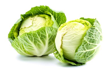 Beyaz arka planda taze savoy lahanası