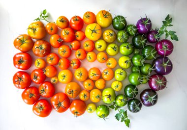 Beyaz arka planda taze domatesler ve gökkuşağı, üst manzara