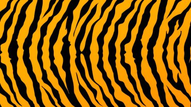 Kaplan kürküne yakın plan, siyah çizgili turuncu..