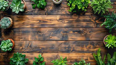 Ekinler ahşap arkaplan çerçevesi