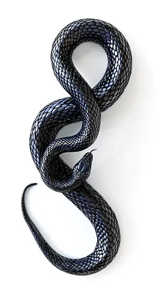 Beyaz arka planda siyah yılan