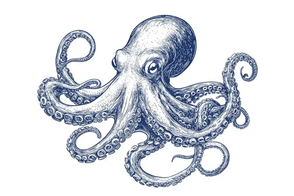 Kıvrımlı dokunaçları olan bir ahtapotun ayrıntılı vektör çizimi