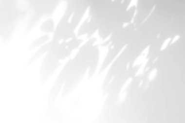 Beyaz arkaplan üzerinde gölge örtüsü etkisi. Bitkiler, yapraklar ve dallardan gelen organik botanik gölgelere sahip soyut güneş ışığı arka planı.