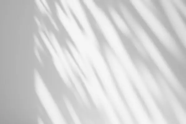 白の背景に影のオーバーレイ効果 窓影のある太陽の背景 ストック画像