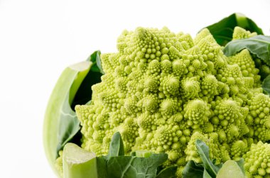 Romanesco brokoli veya Roma karnabahar