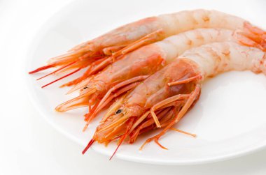 Fresh Ebi Sashimi (Botan shrimp) , Japanese Food