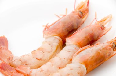 Fresh Ebi Sashimi (Botan shrimp) , Japanese Food