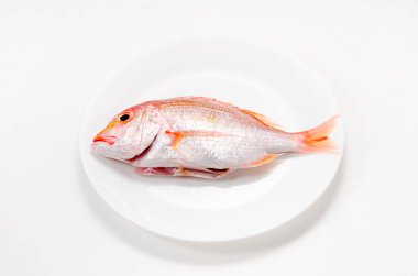 Tabaktaki sarı deniz kabuğu.