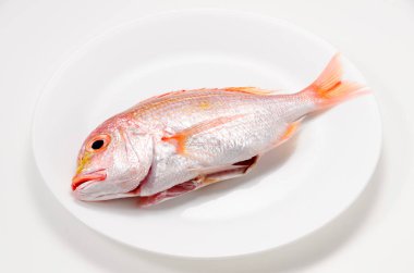 Tabaktaki sarı deniz kabuğu.