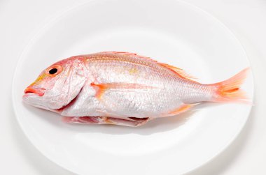 Tabaktaki sarı deniz kabuğu.