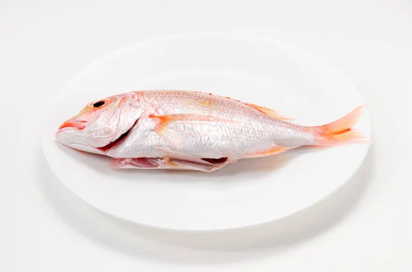 stock image Yellowback seabream on a plate