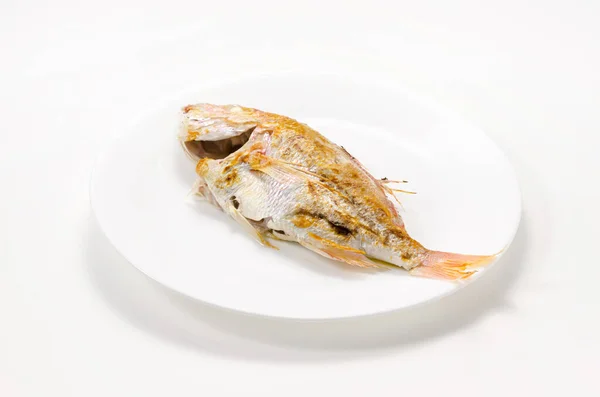 咸肉烤鱼 黄背海斑鱼 — 图库照片