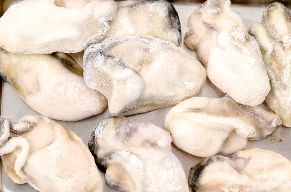 หอยนางรมแช งในถาดสแตนเลส รูปภาพสต็อกที่ปลอดค่าลิขสิทธิ์