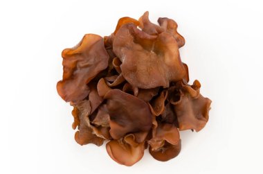 Yahudi'nin kulak mantar beyaz zemin üzerine