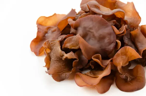 Stock image Jew's ear mushroom on white background