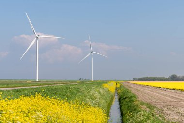 Hollanda 'daki Goeree-Overflakkee adasında bahar boyunca rüzgar türbinleri.