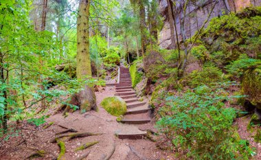 Ancient Lattengrund Canyon and hiking trail, old spruce forest at Sandstone rocks Schrammstein group in the national park Saxon Switzerland, Bad Schandau, Saxony, Germany clipart