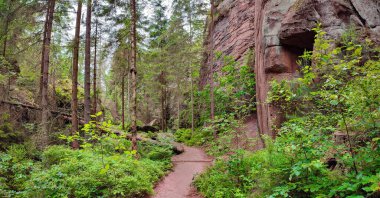 Yürüyüş yolu üzerinde Panoramiv, Sandstone 'daki antik orman Schrammstein grubunu ulusal park Sakson İsviçre, Bad Schandau, Saksonya, Almanya