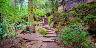 Yürüyüş yolu üzerinde Panoramiv, Sandstone 'daki antik orman Schrammstein grubunu ulusal park Sakson İsviçre, Bad Schandau, Saksonya, Almanya