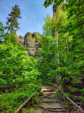 Yürüyüş yolu, Sandstone 'daki antik orman Schrammstein grubunu ulusal park Sakson İsviçre, Bad Schandau, Saksonya, Almanya' da kayalar.