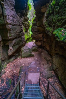 Sandstone rock caves with fern, moss, lichen, with metal stairs at the hiking trail Malerweg, Devil Chamber in the national park Saxon Switzerland, Saxony, Germany clipart