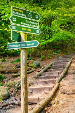 Sandstone 'daki yürüyüş yolu, yön ve bilgi standı Schrammstein grubunu ulusal park Sakson İsviçre, Bad Schandau, Saksonya, Almanya.