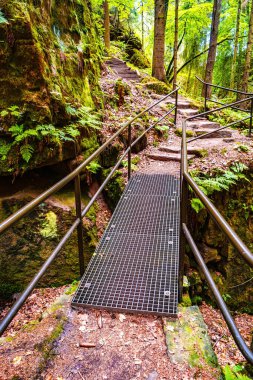 Antik Şeytanlar Odası Kanyonu ve Kayalıkları yürüyüş yolu ile, Sandstone 'daki eski ladin ormanı İsviçre Saksonya, Almanya' daki Saksonya Ulusal Parkı 'ndaki kayalar