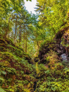 Ancient Devils Chamber Canyon and Rocks with a hiking trail, old spruce forest at Sandstone rocks in the national park Saxon Switzerland, Saxony, Germany clipart