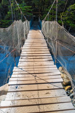 Torres del Paine Ulusal Parkı, Patagonya, Şili, yürüyüş yolu ve dağcılar için yapılmış dağ nehri üzerindeki asma, asma köprü.