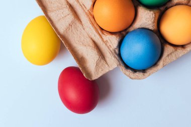 Arka planda yumurta tepsisine boyanmış yumurta. Renkli Paskalya yumurtaları. Makro çekim, seçici odaklanma. Üst görünüm.