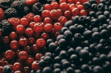 Kırmızı ve siyah ahududu, yaban mersini ve kırmızı frenk üzümü yakın plan. Seçici odaklanma, makro çekim.