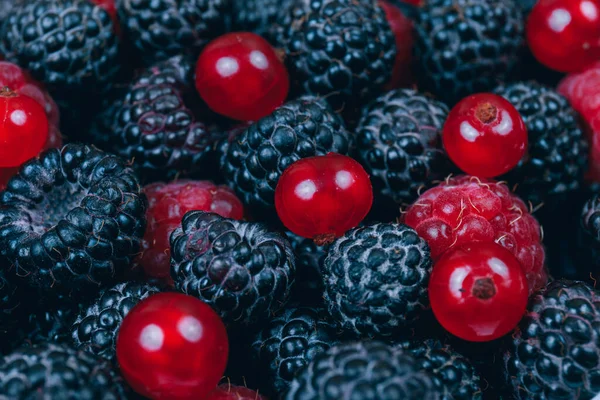 Macro Shot Fresh Berries Red Black Raspberries Red Currants Berries — Stock Photo, Image