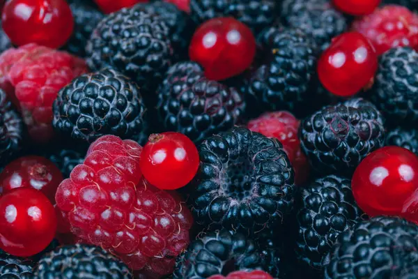 Macro Shot Fresh Berries Red Black Raspberries Blueberries Red Currants — Stock Photo, Image