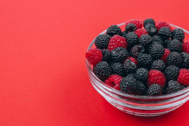 Close-up of glass bowl with red and black raspberries on red background. Macro shot.