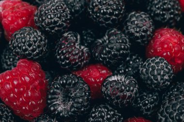 Bir sürü kırmızı ve siyah ahududu yakından çekilmiş. Olgun böğürtlenli Makro shot.