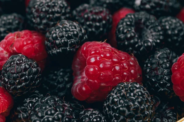 很多红的和黑的树莓特写 成熟浆果的大头照 — 图库照片