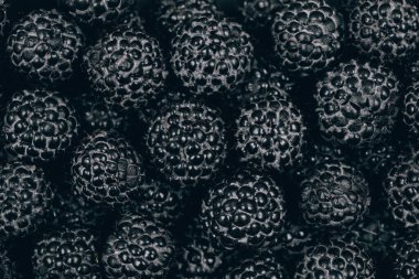 Siyah ahududu yakından. Makro atış. Taze olgun ve tatlı ahududu yığını. 