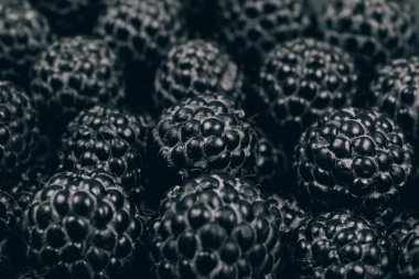 Siyah ahududu yakından. Makro atış. Taze olgun ve tatlı ahududu yığını. 