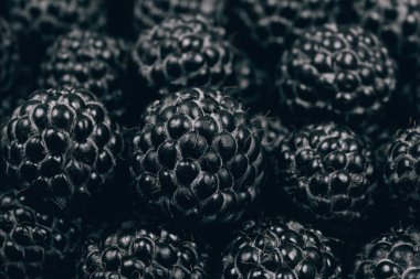 Siyah ahududu yakından. Makro atış. Taze olgun ve tatlı ahududu yığını. 