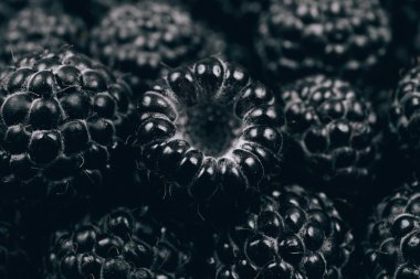 Siyah ahududu yakından. Makro atış. Taze olgun ve tatlı ahududu yığını. 