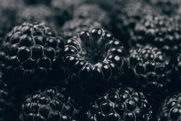 黑色覆盆子特写 宏观射击 新鲜成熟和甜甜的覆盆子 — 图库照片