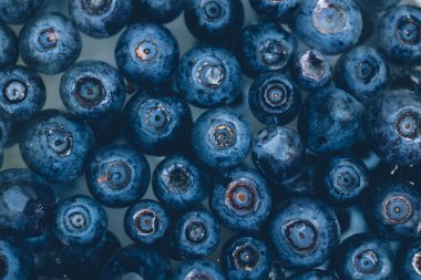 Suda bir sürü taze yaban mersini var. Yakın plan. Makro. Üst görünüm.