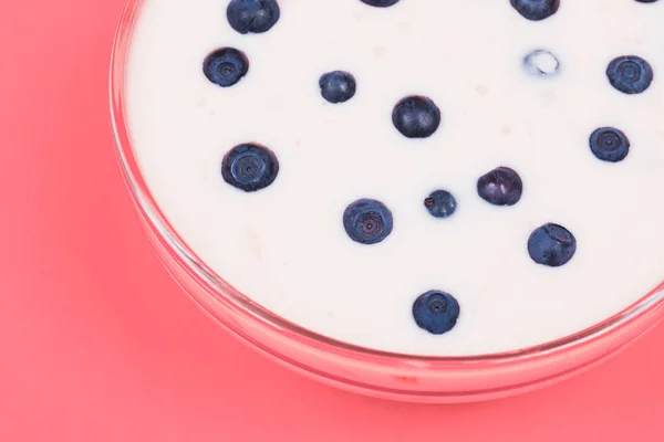 Glass Bowl Yogurt Fresh Blueberries Pink Background — Stockfoto