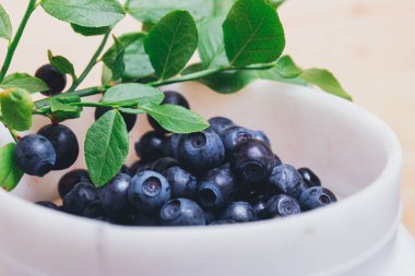 Taze yaban mersini, yeşil yapraklı taze dalları olan beyaz plastik kovada yakın plan. Olgun yabanmersini. Makro çekim.