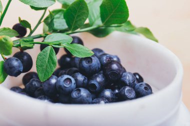 Taze yaban mersini, yeşil yapraklı taze dalları olan beyaz plastik kovada yakın plan. Olgun yabanmersini. Makro çekim.