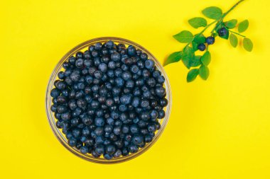 Olgun yaban mersinleriyle dolu cam kase ve sarı arka planda bir sıra yalan söyleyen yabanmersini dalları. Üst görünüm