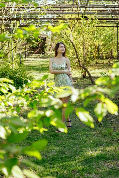 Bir seranın ortasında dikilen bir kadın. Arkasında güneş ışığı olan ağaçlarla çevrili..