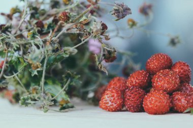 Orman Çileği. Bir yığın olgun kırmızı lezzetli yabanmersini (Fragaria vesca) ve üzerinde kurumuş böğürtlen olan kuru böğürtlen buketi. Ahşap masada Alp Çileği 'ne yakın çekim. Makro çekim.