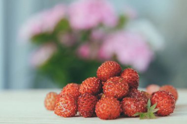 Orman Çileği. Olgun kırmızı lezzetli yabanmersini yığını (Fragaria vesca). Ahşap masada Alp Çileği 'ne yakın çekim. Makro çekim.